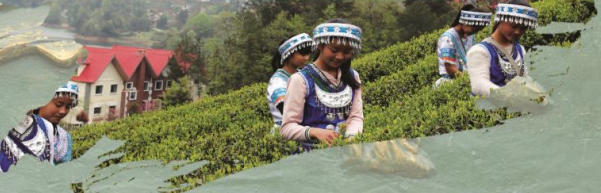 建立可追溯体系